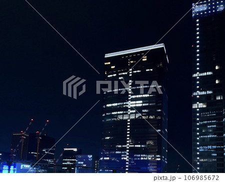 夜の東京 106985672