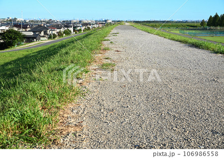 荒川土手からの景色 　荒川下流方向　さいたま新都心方面 106986558