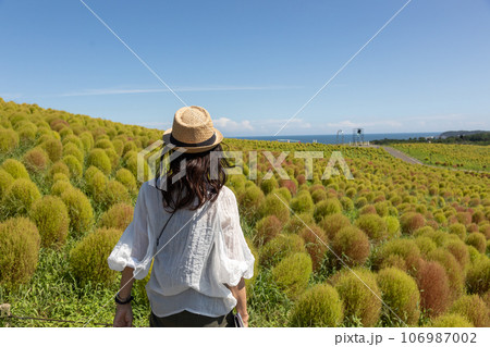 国営ひたち海浜公園　みはらしの丘を散策する女性 106987002