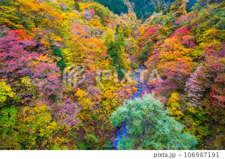 三途川渓谷（秋） 106987191