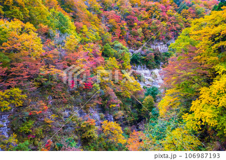三途川渓谷(秋) 三途川渓谷(秋) 106987193