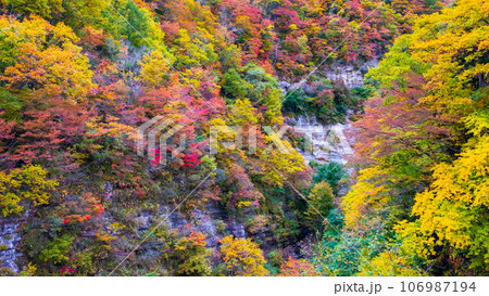 三途川渓谷（秋） 106987194
