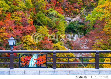 三途川渓谷（秋） 106987206