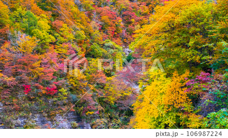 三途川渓谷(秋) 三途川渓谷(秋) 106987224