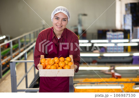 Glad positive female employee in colored uniforms hold a box of fresh ripe tangerines in their hands on citrus sorting line at warehouse. 106987530