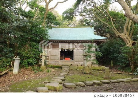 越前海岸 雄島の大湊神社 拝殿 越前海岸 雄島の大湊神社 拝殿 106988457