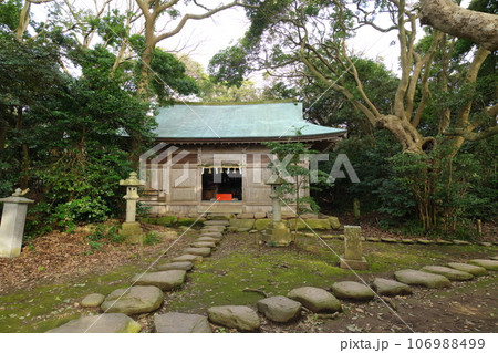越前海岸 雄島の大湊神社 拝殿 越前海岸 雄島の大湊神社 拝殿 106988499