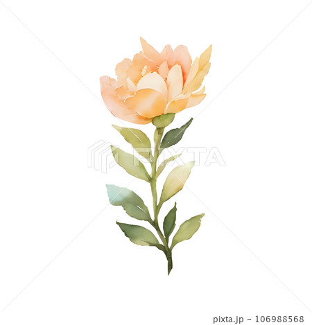 flower watercolor flower watercolor 106988568