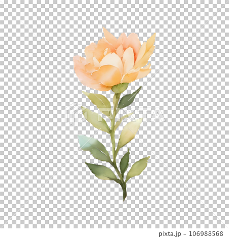 flower watercolor flower watercolor 106988568