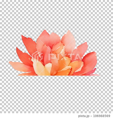 flower watercolor flower watercolor 106988569
