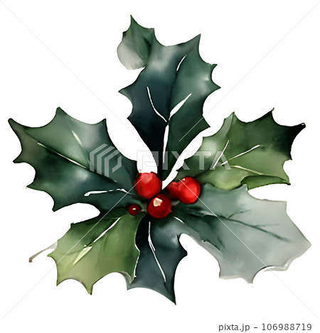 Holly leaf 106988719
