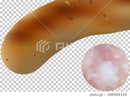 「焼いたソーセージ」と「輪切りのソーセージ」 106989189