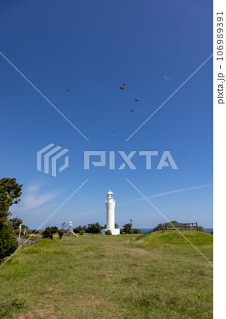日立灯台の上を飛ぶ海鳥たち　茨城県日立市 106989391