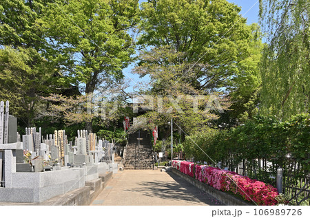 川口散歩：曹洞宗 法性寺　三門　川口市桜町 106989726