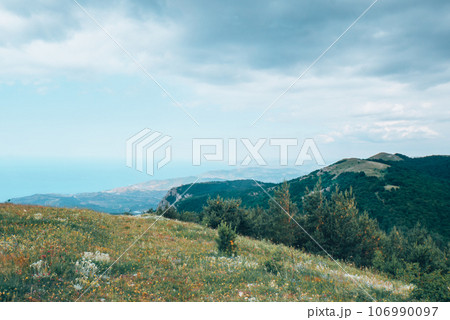 Completely overgrown with bushes and trees, a green mountain Completely overgrown with bushes and trees, a green mountain 106990097