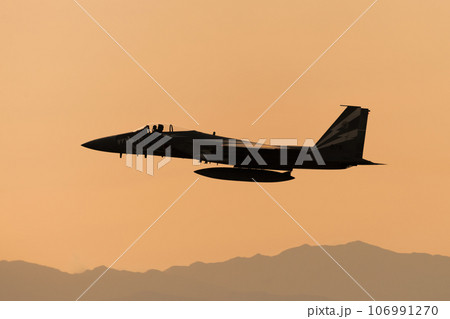 夕暮れの航空自衛隊F-15Jイーグル特別塗装機 106991270