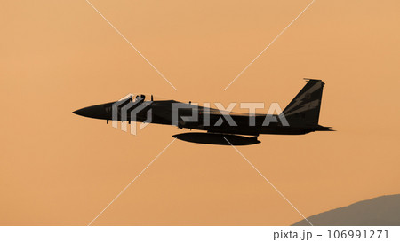夕暮れの航空自衛隊F-15Jイーグル特別塗装機 夕暮れの航空自衛隊F-15Jイーグル特別塗装機 106991271