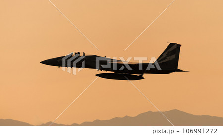 夕暮れの航空自衛隊F-15Jイーグル特別塗装機 夕暮れの航空自衛隊F-15Jイーグル特別塗装機 106991272