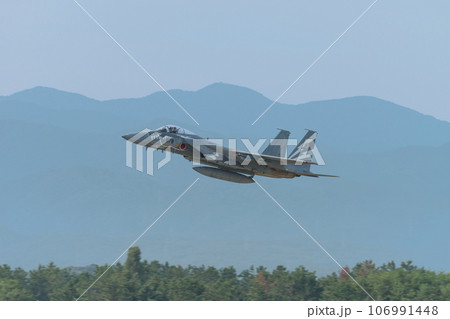 航空自衛隊第303飛行隊F-15Jイーグル特別塗装機 106991448