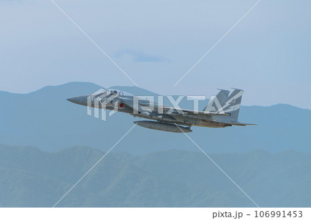 航空自衛隊第303飛行隊F-15Jイーグル特別塗装機 航空自衛隊第303飛行隊F-15Jイーグル特別塗装機 106991453