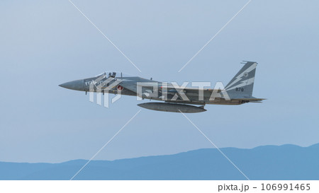 航空自衛隊第303飛行隊F-15Jイーグル特別塗装機 航空自衛隊第303飛行隊F-15Jイーグル特別塗装機 106991465