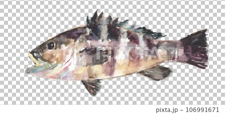 Illustration of Mahata painted in watercolor 106991671