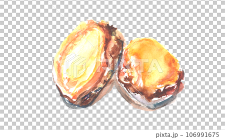 Illustration of boiled abalone drawn in watercolor Illustration of boiled abalone drawn in watercolor 106991675