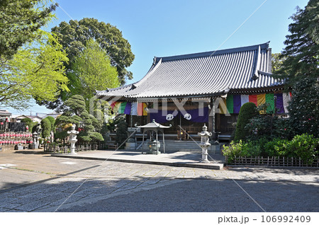 川口散歩:真言宗智山派 地蔵院 本堂 川口市桜町 川口散歩:真言宗智山派 地蔵院 本堂 川口市桜町 106992409