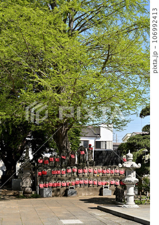 川口散歩：真言宗智山派 地蔵院　地蔵尊　川口市桜町 106992413