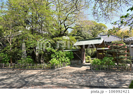 川口散歩：真言宗智山派 地蔵院　庫裡　川口市桜町 106992421