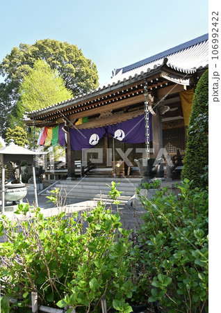 川口散歩：真言宗智山派 地蔵院　本堂　川口市桜町 106992422