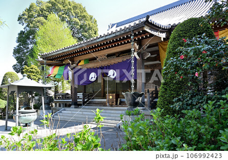 川口散歩：真言宗智山派 地蔵院　本堂　川口市桜町 106992423