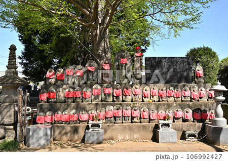 川口散歩:真言宗智山派 地蔵院 地蔵尊 川口市桜町 川口散歩:真言宗智山派 地蔵院 地蔵尊 川口市桜町 106992427