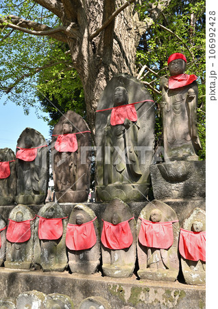 川口散歩:真言宗智山派 地蔵院 地蔵尊 川口市桜町 川口散歩:真言宗智山派 地蔵院 地蔵尊 川口市桜町 106992428