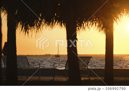 Dark palm trees on tropical beach against evening sky. Summer vacation concept 106992790