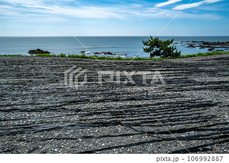 日高昆布漁最盛期 106992887