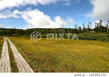 秋の八幡平 106993250