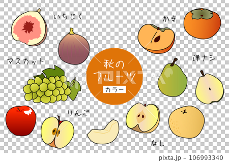 Autumn fruits fruit color illustration Autumn fruits fruit color illustration 106993340