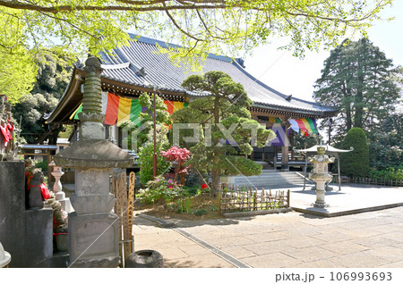 川口散歩:地蔵院 真言宗智山派 本堂 川口市桜町 川口散歩:地蔵院 真言宗智山派 本堂 川口市桜町 106993693