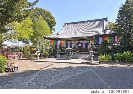 川口散歩:地蔵院 真言宗智山派 本堂 川口市桜町 川口散歩:地蔵院 真言宗智山派 本堂 川口市桜町 106993695