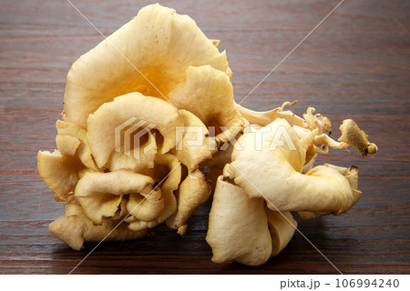 タモギタケ 106994240