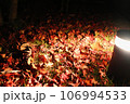 街灯に照らされる紅葉 106994533