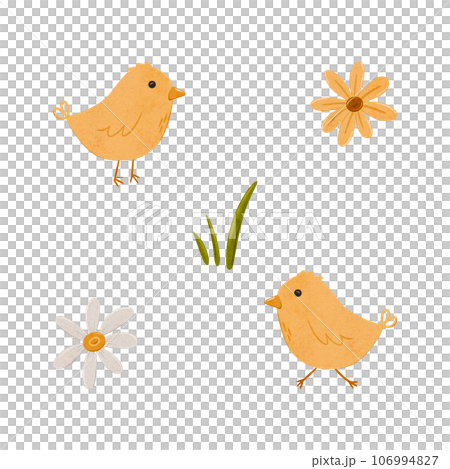 Set of Cartoon domestic chickens, daisy and sunflower. Digital hand drawn farm birds illustration for textile design, poster, postcard. Cartoon style character drawing for printing on an isolated Set of Cartoon domestic chickens, daisy and sunflower. Digital hand drawn farm birds illustration for textile design, poster, postcard. Cartoon style character drawing for printing on an isolated 106994827