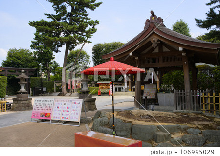 中野沼袋氷川神社 境内 東京都中野区沼袋 中野沼袋氷川神社 境内 東京都中野区沼袋 106995029