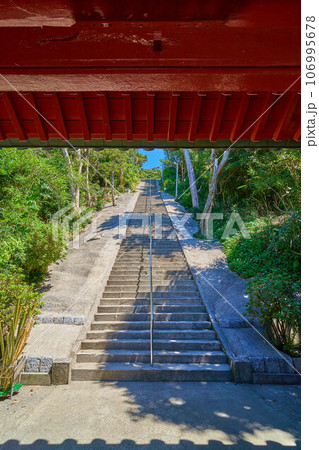 千葉県館山市の洲崎神社の随身門から厄祓坂(石段)を見る 106995678