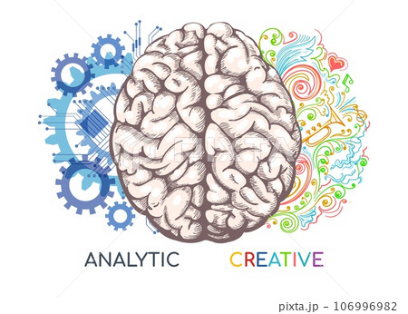 Left and right human brain functions 106996982