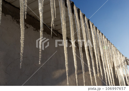 Sharp icicles and melted snow hanging from the eaves of the roof. Beautiful transparent icicles slowly gliding of a roof 106997657