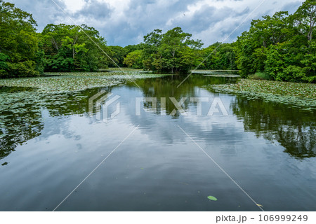 大沼国定公園 大沼国定公園 106999249