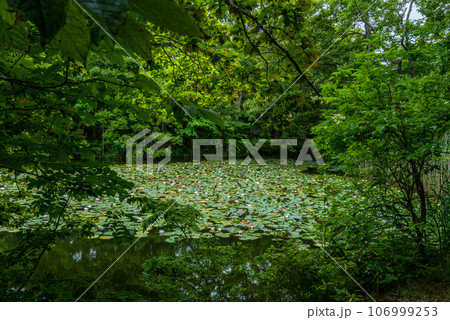 大沼国定公園 106999253