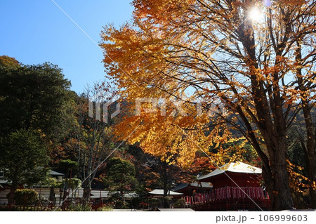 日光二荒山神社と紅葉 日光二荒山神社と紅葉 106999603